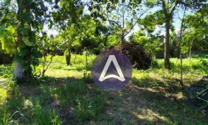 Terreno à venda, 4130 m² por R$ 9.490.000,00 - Campeche - Florianópolis/SC
