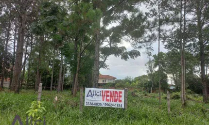 Terreno à venda, 1000 m² por R$ 3.250.000,00 - Campeche - Florianópolis/SC