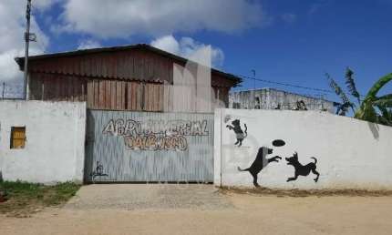 Barracão / Galpão / Depósito para alugar na Estrada Jorge Pereira Nunes, 35, Campo Novo, Porto Alegre por R$ 4.000