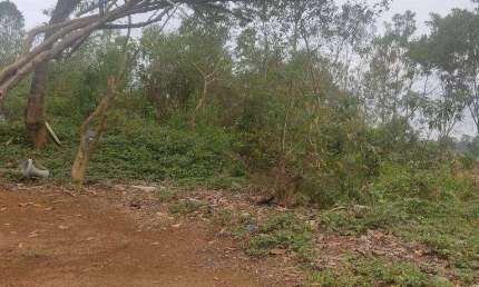 Terreno à venda, 3000 m² por R$ 150.000,00 - Cidade Nova Bonsucesso - Guarulhos/SP