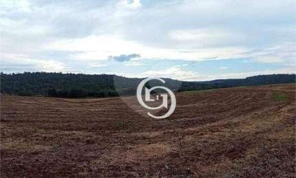 Chácara à venda, 20000 m² por R$ 500.000 - Condomínio de Chácaras Mirante do Parque - Santa Tereza do Oeste/PR