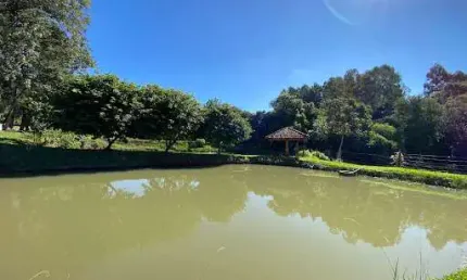 Chácara com 2 dormitórios à venda, 12000 m² por R$ 1.600.000,00 - Rural - Cascavel/PR