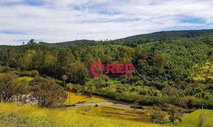 Terreno à venda, 1455 m² por R$ 380.000,00 - Fazenda São Silvano - Morungaba/SP