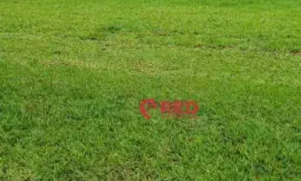 Terreno à venda, 3124 m² por R$ 4.061.304,00 - Quinta da Baroneza - Bragança Paulista/SP