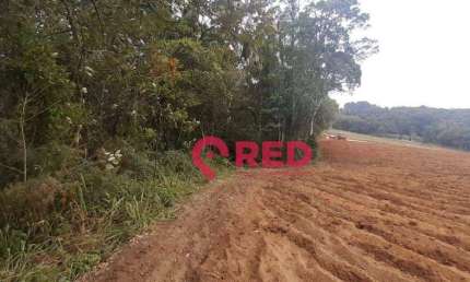 Terreno à venda, 98000 m² por R$ 550.000,00 - Piedade - Piedade/SP