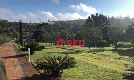 Chácara com 3 dormitórios à venda, 450 m² por R$ 600.000,00 - Jardim Alvorada - Itapeva/SP