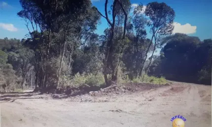 Chácara / sítio à venda na Zona Rural, Farroupilha , 69000 m2 por R$ 1.010.000