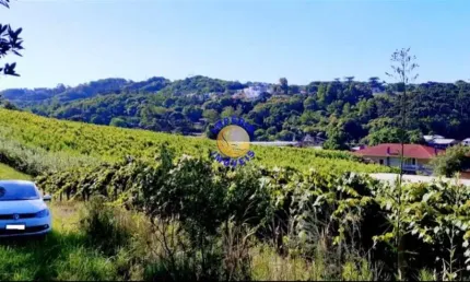 Chácara / sítio à venda no são luiz da sexta légua, caxias do sul , 50000 m2 por r$ 1.250.000