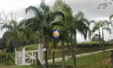 Chácara / sítio com 3 quartos à venda na fazenda souza, caxias do sul , 31288 m2 por r$ 950.000