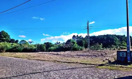 Terreno à venda no Santa Isabel, São Francisco de Paula  por R$ 125.000