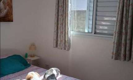 Loft com 2 quartos à venda na Rua Alves de Almeida, 1089, Chácara Belenzinho, São Paulo