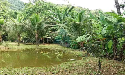 Terreno, Jardim Marafunda, Ubatuba - R$ 5 mi, Cod: 853