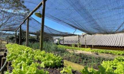Haras com 11 alqueres  à venda, 266200 m² por R$ 3.500.000 - Ribeirão Grande - Pindamonhangaba/SP