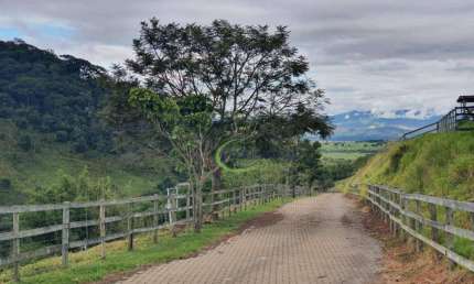 Anuncia esse Sitio  12 Alqueires Fica aqui em Pinda . Ribeirao Grande    Graminha