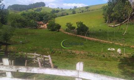 Chácara com 5 dormitórios à venda, 25000 m² por R$ 800.000,00 - Conceicao Dos Ouros - Conceição dos Ouros/MG