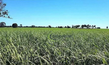 Fazenda à venda, 11616000 m² por R$ 57.000.000,00 - Alexandrina - Quirinópolis/GO