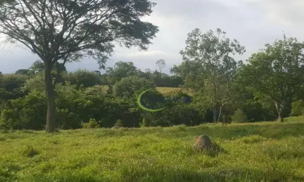 Área à venda, 63000 m² por r$ 9.000.000,00 - jardim das flores - são josé dos campos/sp
