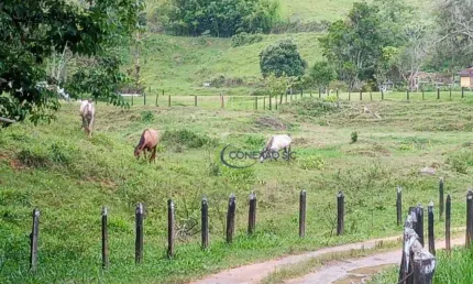 Fazenda com 2 dormitórios à venda, 1355200 m² por R$ 5.000.000,00 - Ribeirão Grande - Pindamonhangaba/SP