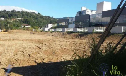 Terreno à venda, 10772 m² por r$ 17.500.000 - centro - blumenau/sc | la vita imóveis