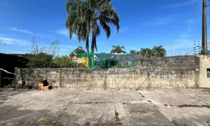 Terreno à venda em Itanhaém-SP, Jardim das Palmeiras: 317,50 m² de oportunidade imperdível!