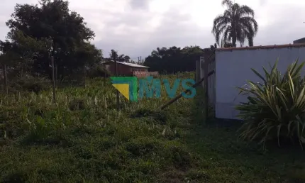 Terreno à venda em Itanhaém-SP, Jardim das Palmeiras - 260,00 m² de área!