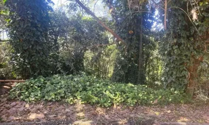 Terreno à venda, 600 m² por R$ 175.000,00 - Alvarenga - São Bernardo do Campo/SP