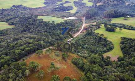 Fazenda com 3 salas à venda na Avenida Ivo Carli, 2000, Morro Alto, Guarapuava