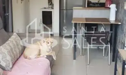 Apartamento à venda em são paulo-sp, vila vitório mazzei: 3 quartos, 1 suíte, 1 sala, 2 banheiros, 2 vagas, 97m². imperdível!