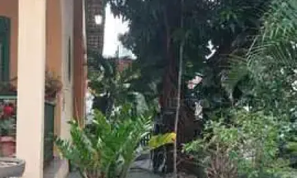 Casa com 5 quartos à venda na Rua José Cassiano dos Santos, Fradinhos, Vitória