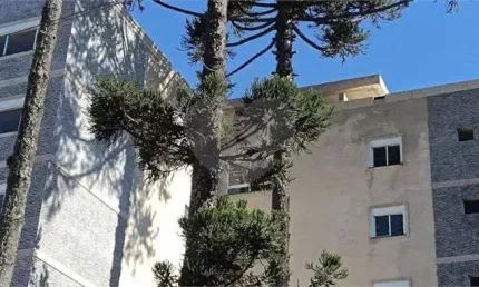Apartamento com 3 quartos à venda em Água Verde - PR