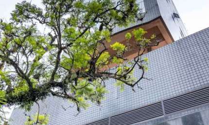 Sala comercial à venda na Rua Casemiro de Abreu, 367, Rio Branco, Porto Alegre por R$ 400.000