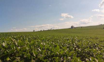 Sitio a Venda  área total de 25 Alqueires  , planta  18 alqueires