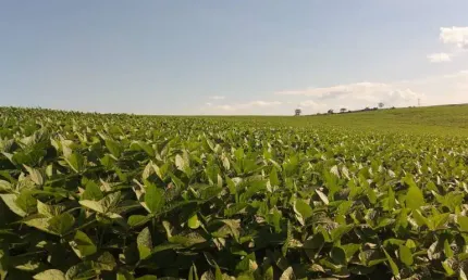 Sitio a venda área total de 10 alqueires  planta 8    região de são luiz