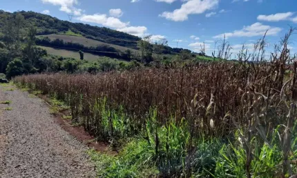 Chácara a Venda área total de12.000 M² ótima topografia100 % aproveitamento