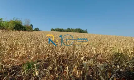 Sitio a Venda ótima para Barracão de Frangos  7 Alqueires  Guaravera PR