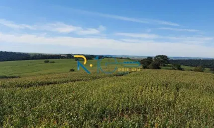 Sítio a Venda com uma área de   4.896 alqueires   Assaí PR