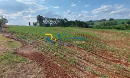 Sitio  a venda área de 2 alqueires na rodovia  topografia  plana  com rio.