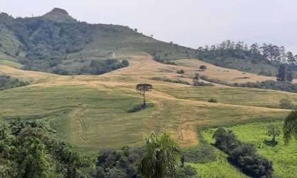 Fazenda a Venda  Área de 60 Alqueires Município de Reserva