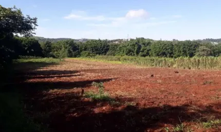 Chácara a Venda  com uma área de 20.166 M², escriturada ,ao lado da PR 445.