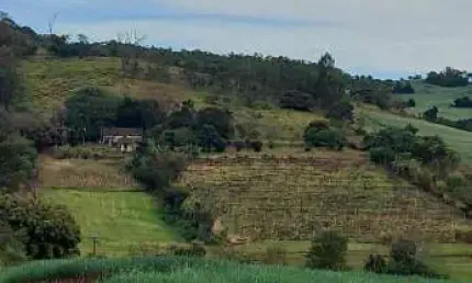 Sítio a Venda área total 6 Alqueires   300 Metros do asfalto Assaí Pr