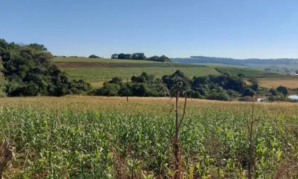 Sitio a Venda  área  de 5,9 Alqueires   plantando 4 Alqueires  Sertanópolis