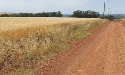 Sitio a Venda   área  de 4 Alqueires  Gleba Primavera Ibiporã PR