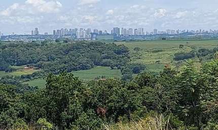 Sítio a Venda  10 Alqueires  Colônia Coroados 3 Km do asfalto