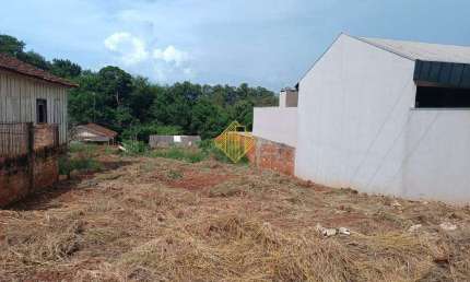 Terreno à venda em Osvaldo Cruz, Palotina 