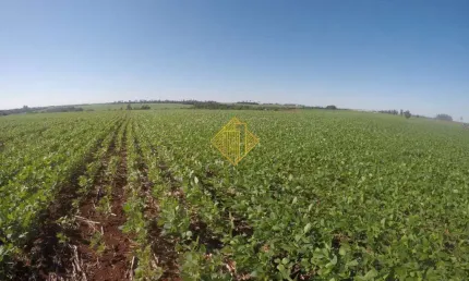 Chácara / sítio à venda na Zona Rural, Maripá 
