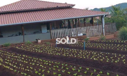 Chácara com 3 dormitórios à venda, 10000 m² por R$ 0,01 - Zona Rural - Patrocínio Paulista/SP