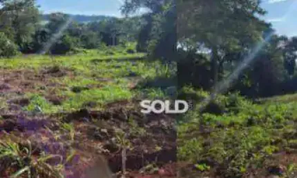 Sítio com 2 dormitórios à venda, 77300 m² por R$ 750.000,00 - Zona Rural - Nuporanga/SP