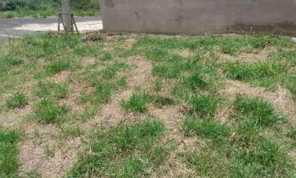 Terreno à venda, 200 m² por R$ 160.000,00 - Centro - Cristais Paulista/SP
