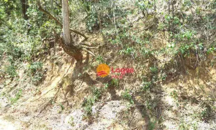 Terreno à venda, 494 m² por R$ 120.000,00 - Engenho do Mato - Niterói/RJ