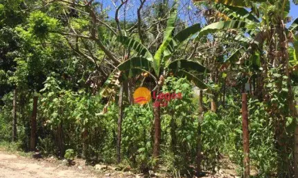 Terreno, 471 m² por r$ 450.000,00 - serra grande - niterói/rj